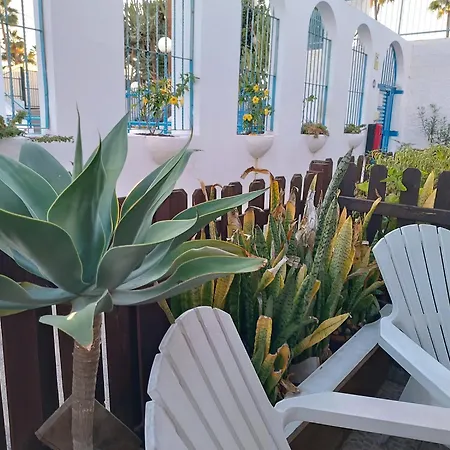 Amazing With Wifi And Terrace